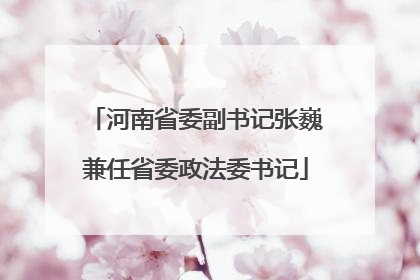 河南省委副书记张巍兼任省委政法委书记