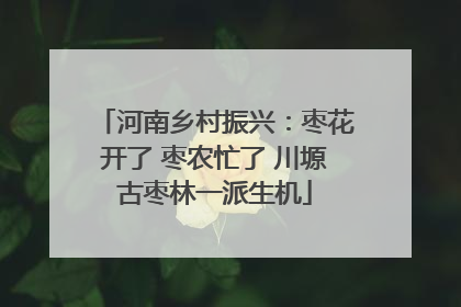 河南乡村振兴：枣花开了 枣农忙了 川塬古枣林一派生机