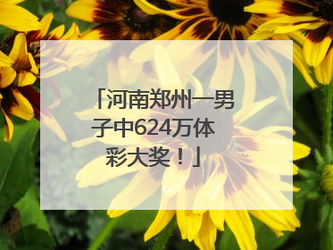河南郑州一男子中624万体彩大奖！