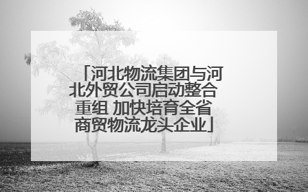 河北物流集团与河北外贸公司启动整合重组 加快培育全省商贸物流龙头企业