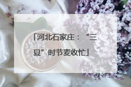 河北石家庄：“三夏”时节麦收忙