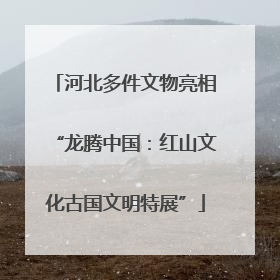 河北多件文物亮相“龙腾中国：红山文化古国文明特展”