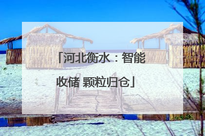 河北衡水：智能收储 颗粒归仓
