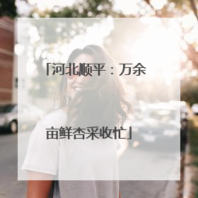 河北顺平：万余亩鲜杏采收忙