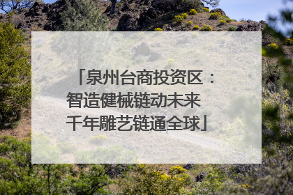 泉州台商投资区：智造健械链动未来 千年雕艺链通全球