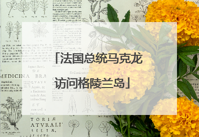 法国总统马克龙访问格陵兰岛