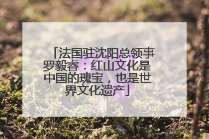 法国驻沈阳总领事罗毅睿：红山文化是中国的瑰宝，也是世界文化遗产