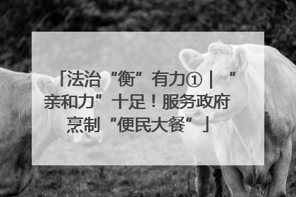 法治“衡”有力①｜“亲和力”十足！服务政府烹制“便民大餐”