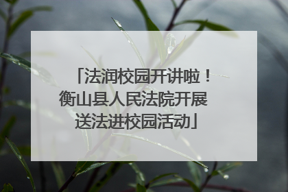 法润校园开讲啦！衡山县人民法院开展 送法进校园活动