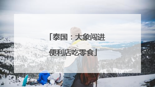 泰国：大象闯进便利店吃零食