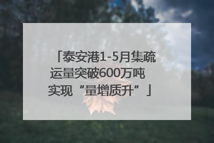 泰安港1-5月集疏运量突破600万吨 实现“量增质升”