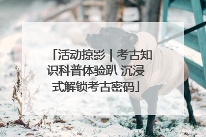 活动掠影｜考古知识科普体验趴 沉浸式解锁考古密码