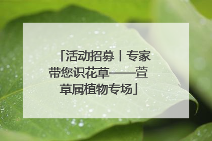 活动招募丨专家带您识花草——萱草属植物专场