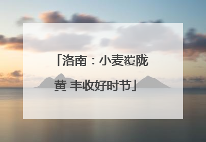 洛南：小麦覆陇黄 丰收好时节