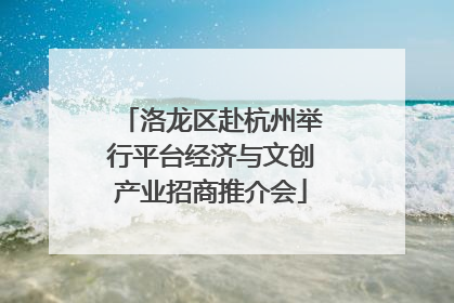 洛龙区赴杭州举行平台经济与文创产业招商推介会