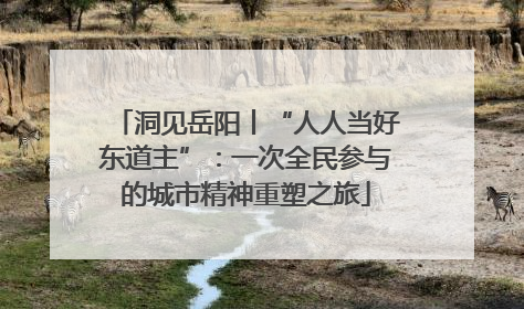 洞见岳阳丨“人人当好东道主”：一次全民参与的城市精神重塑之旅