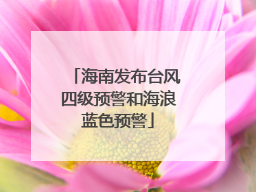 海南发布台风四级预警和海浪蓝色预警