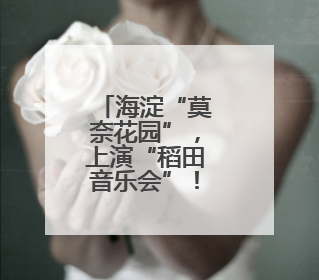 海淀“莫奈花园”，上演“稻田音乐会”！现场直击