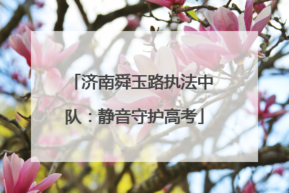 济南舜玉路执法中队：静音守护高考