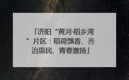 济阳“黄河·稻乡湾”片区：稻荷飘香、善治惠民、青春激扬