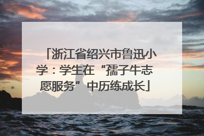 浙江省绍兴市鲁迅小学：学生在“孺子牛志愿服务”中历练成长