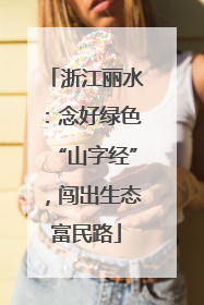 浙江丽水：念好绿色“山字经”，闯出生态富民路