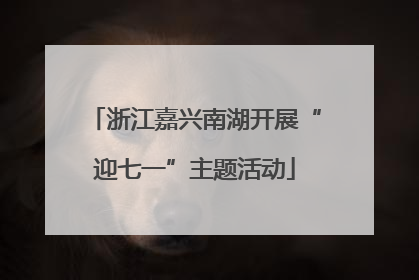 浙江嘉兴南湖开展“迎七一”主题活动