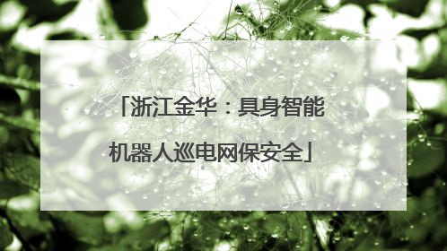 浙江金华：具身智能机器人巡电网保安全