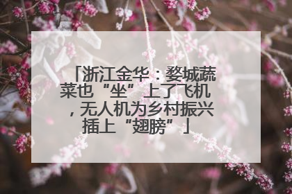 浙江金华：婺城蔬菜也“坐”上了飞机，无人机为乡村振兴插上“翅膀”