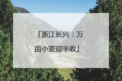 浙江长兴：万亩小麦迎丰收