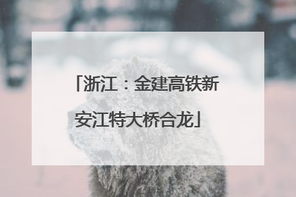 浙江：金建高铁新安江特大桥合龙