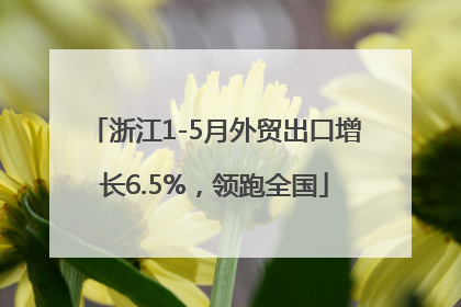 浙江1-5月外贸出口增长6.5%，领跑全国