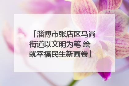 淄博市张店区马尚街道以文明为笔 绘就幸福民生新画卷