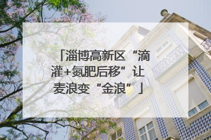 淄博高新区“滴灌+氮肥后移”让麦浪变“金浪”