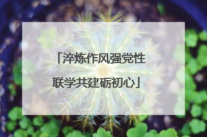 淬炼作风强党性 联学共建砺初心