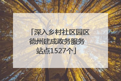 深入乡村社区园区 德州建成政务服务站点1527个