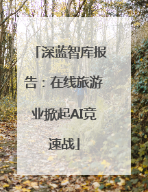 深蓝智库报告：在线旅游业掀起AI竞速战