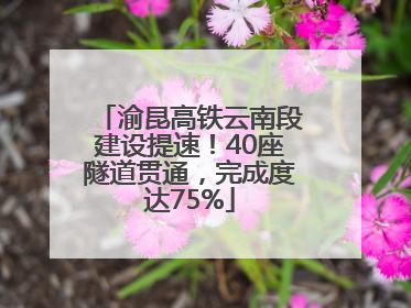 渝昆高铁云南段建设提速！40座隧道贯通，完成度达75%