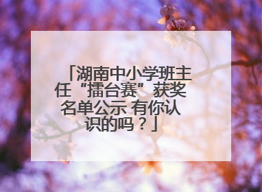 湖南中小学班主任“擂台赛”获奖名单公示 有你认识的吗？