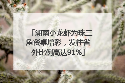 湖南小龙虾为珠三角餐桌增彩，发往省外比例高达91%