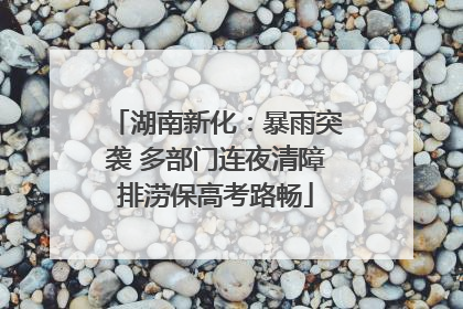 湖南新化：暴雨突袭 多部门连夜清障排涝保高考路畅