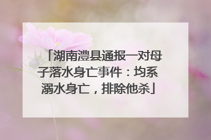湖南澧县通报一对母子落水身亡事件：均系溺水身亡，排除他杀