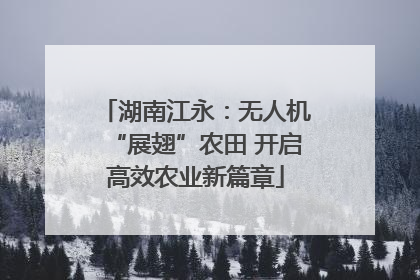 湖南江永：无人机“展翅”农田 开启高效农业新篇章