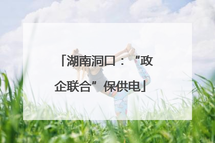 湖南洞口：“政企联合”保供电