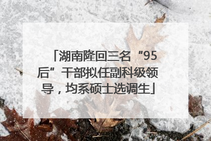 湖南隆回三名“95后”干部拟任副科级领导，均系硕士选调生