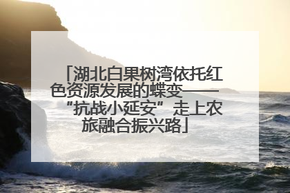 湖北白果树湾依托红色资源发展的蝶变——“抗战小延安”走上农旅融合振兴路
