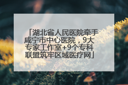 湖北省人民医院牵手咸宁市中心医院，9大专家工作室+9个专科联盟筑牢区域医疗网