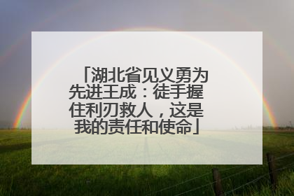 湖北省见义勇为先进王成：徒手握住利刃救人，这是我的责任和使命