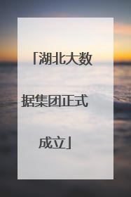 湖北大数据集团正式成立