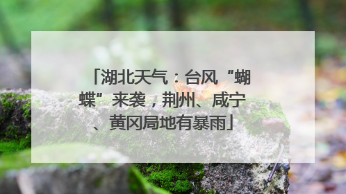 湖北天气：台风“蝴蝶”来袭，荆州、咸宁、黄冈局地有暴雨